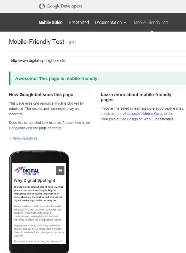 Mobile Friendly Test result